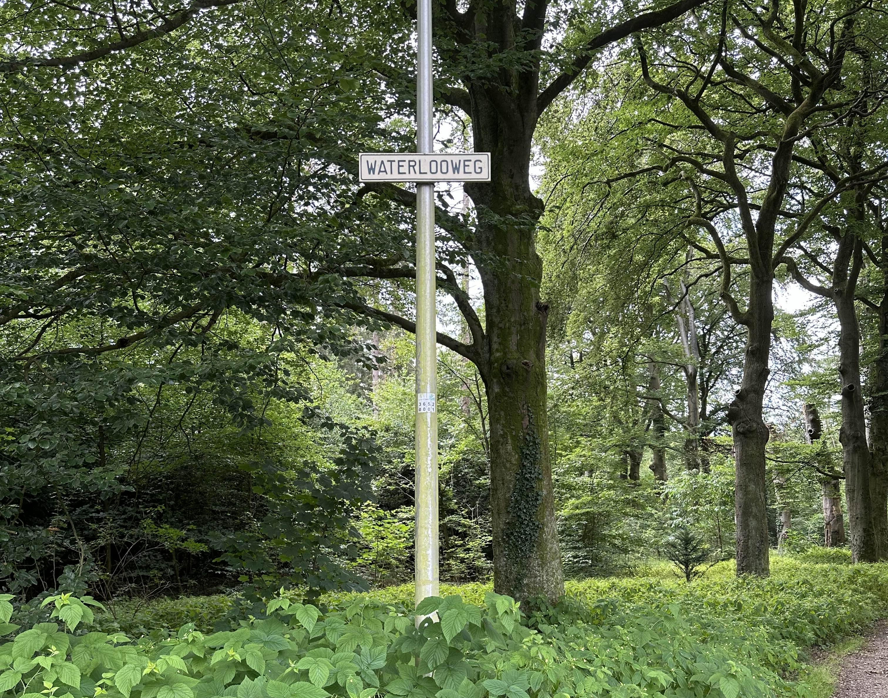 Waterlooweg, Austerlitz