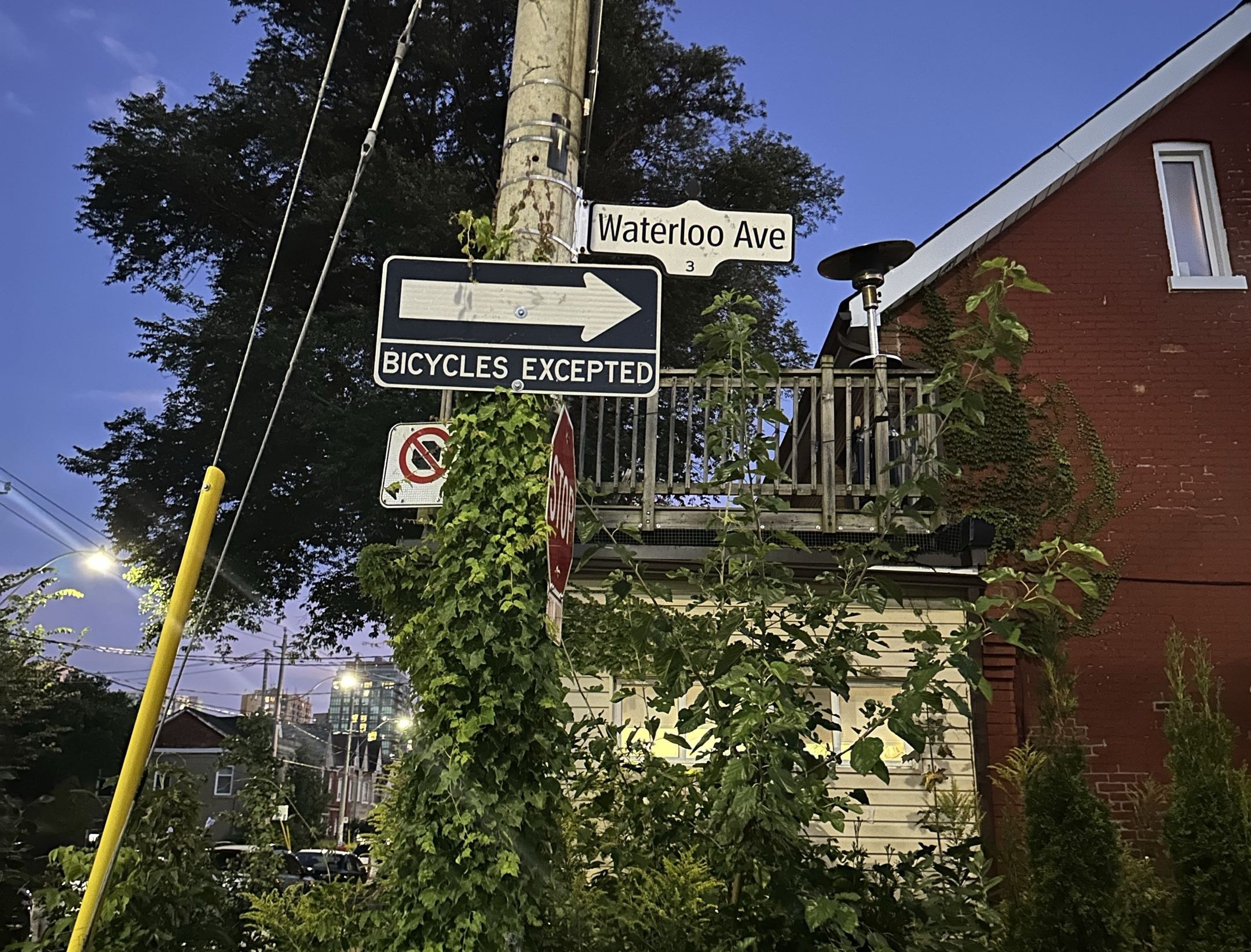 Waterloo Ave, Toronto